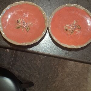Tracy Porter Coral Floral Dinner Plates with Cream Rim (Set of 2)